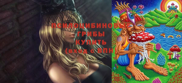 ПСИЛОЦИБИНОВЫЕ ГРИБЫ Алзамай