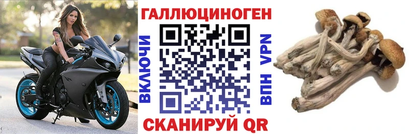 MEGA tor  Лихославль  Псилоцибиновые грибы Cubensis 